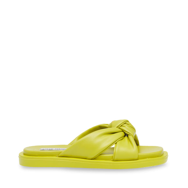 ALLISTAR LIME
