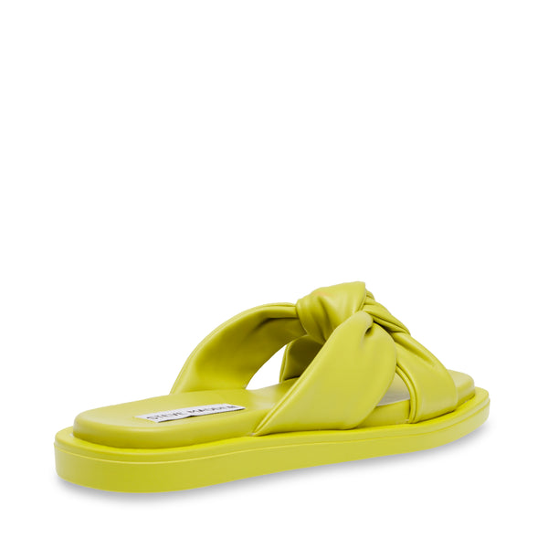 ALLISTAR LIME