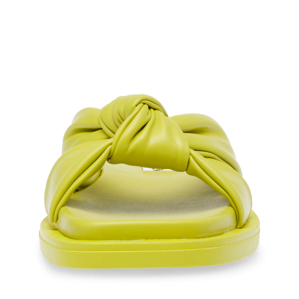 ALLISTAR LIME