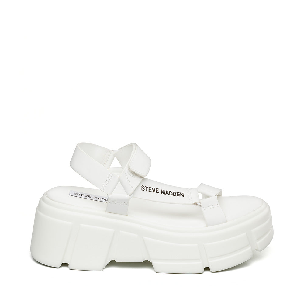 ASSERTIVE WHITE