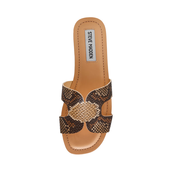 ZARNIA BROWN SNAKE