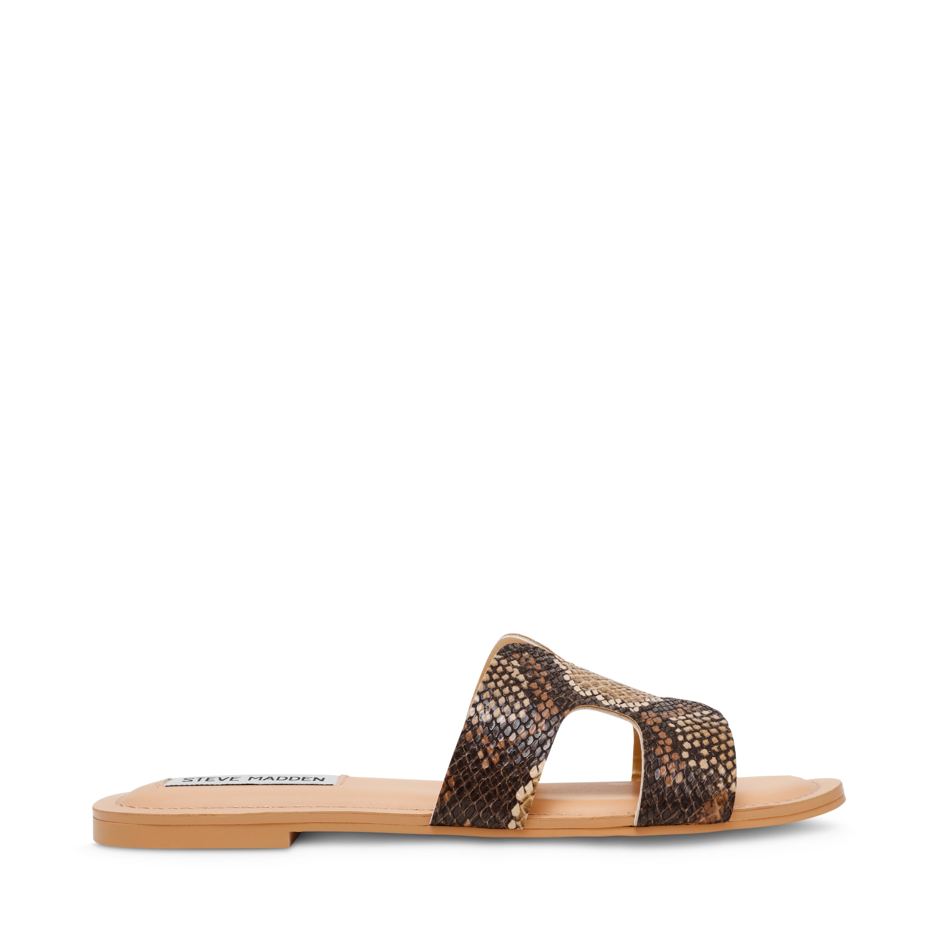 ZARNIA BROWN SNAKE