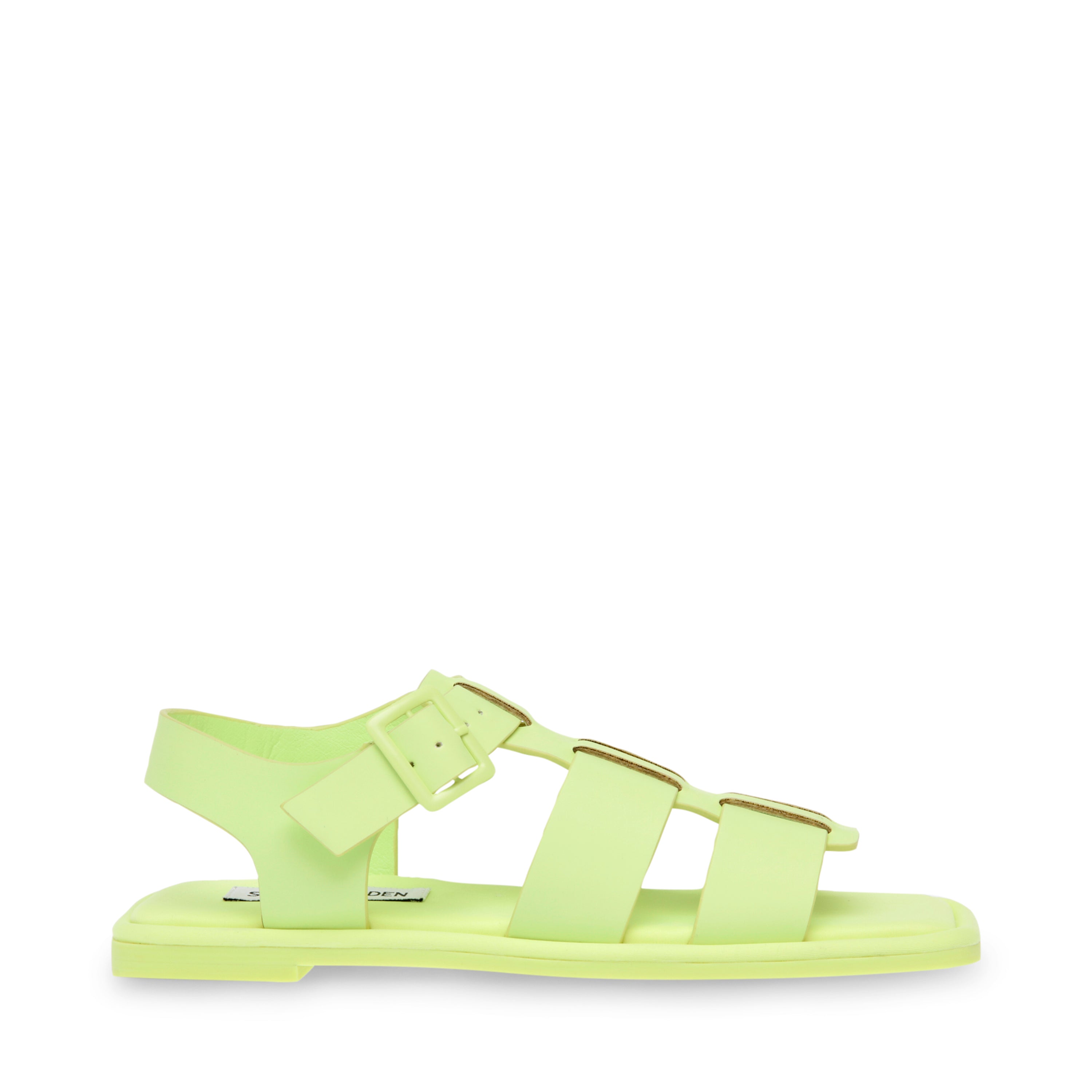 DEVISOR LIME
