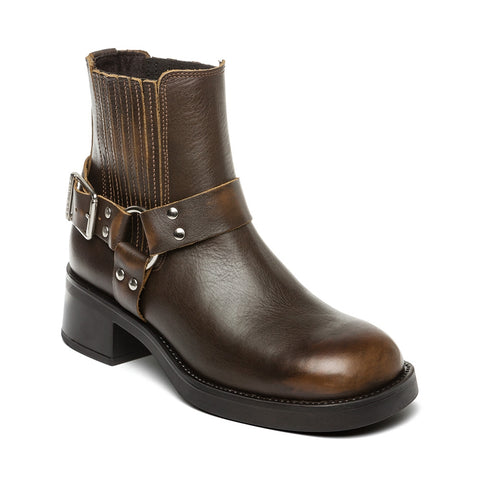 Steve Madden BREAKER BROWN LEATHER Calzado Calzado - Ver Todo