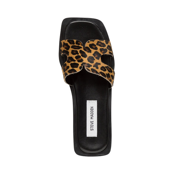 SOFIA-L LEOPARD
