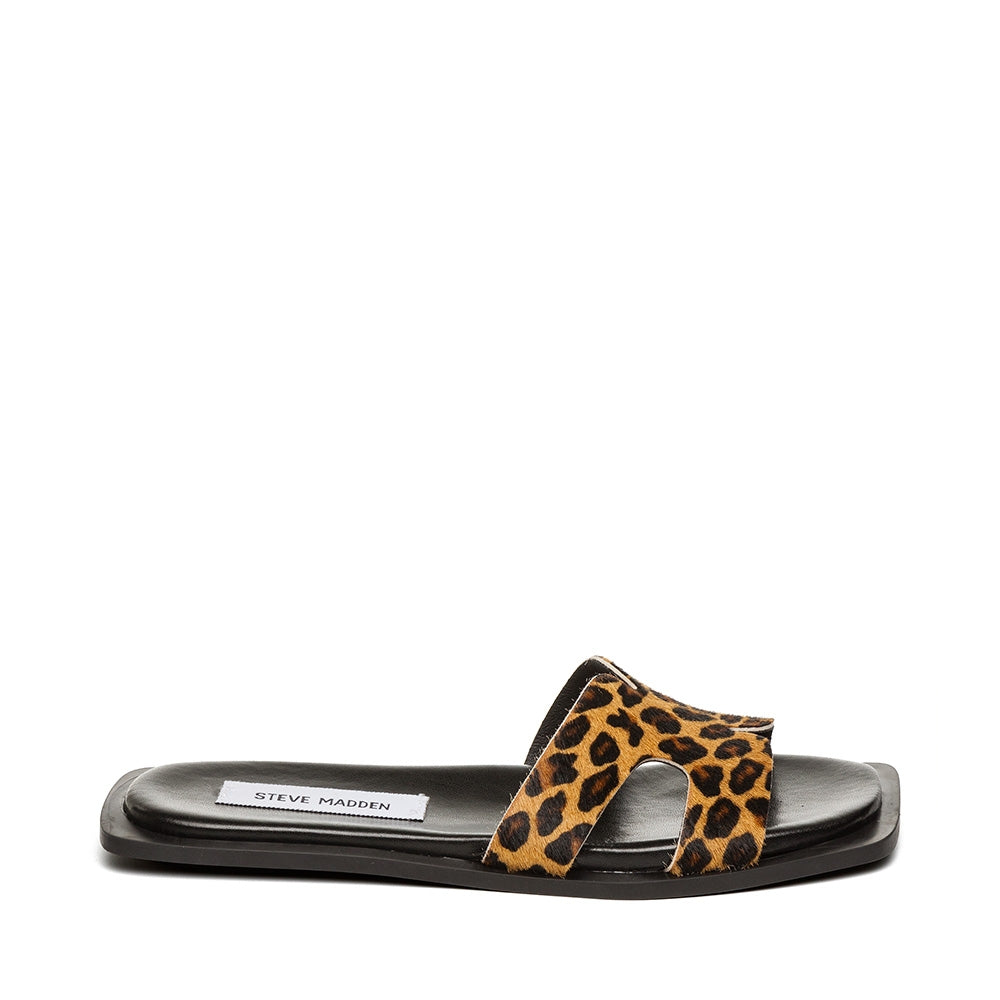 SOFIA-L LEOPARD