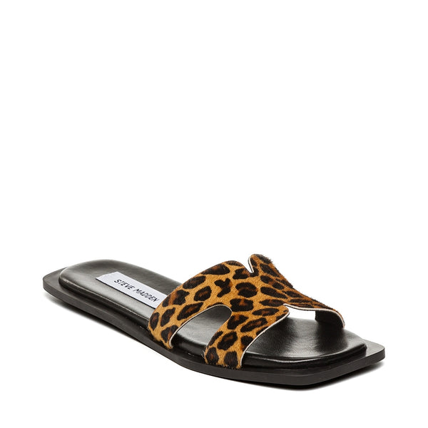 SOFIA-L LEOPARD