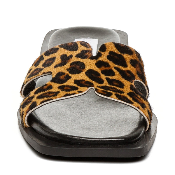 SOFIA-L LEOPARD
