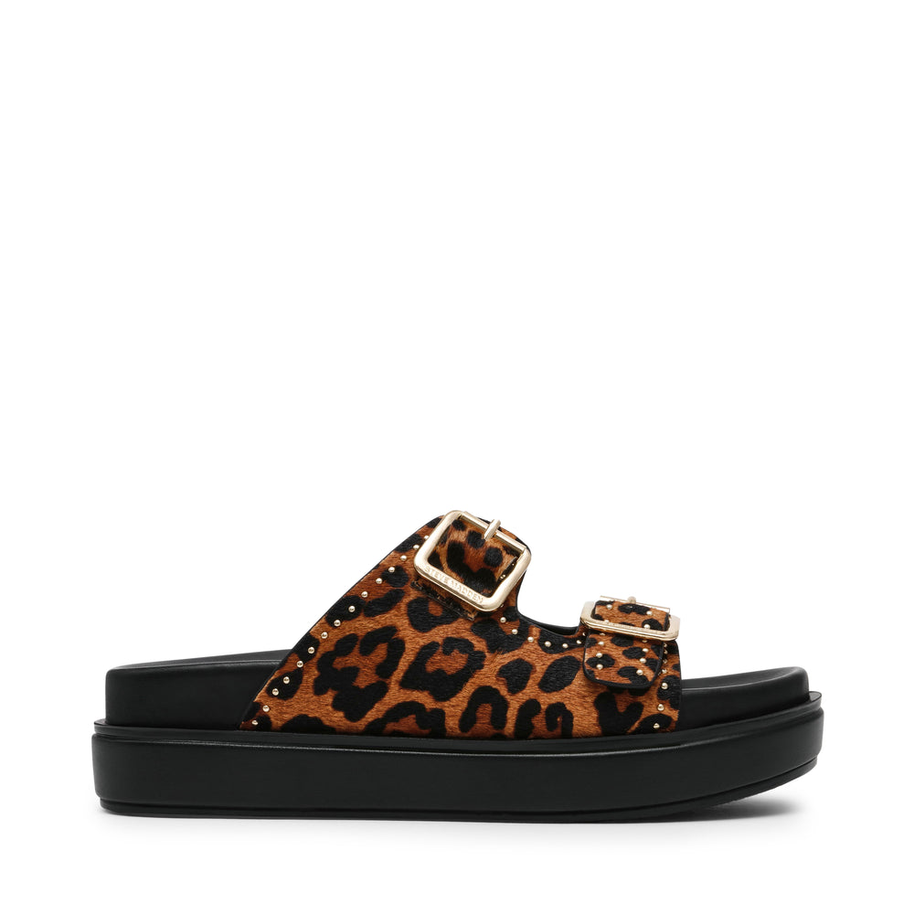 Steve Madden FREELANCE-L LEOPARD Calzado Calzado - Sandalias Planas