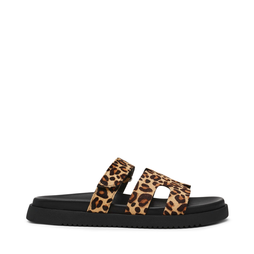 Steve Madden MISSILE-LC LEOPARD Calzado Calzado - Sandalias Planas