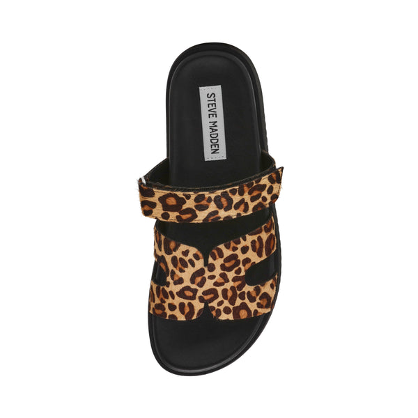 MISSILE-LC LEOPARD
