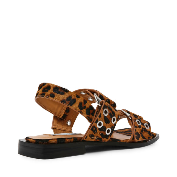 SARIA-LE LEOPARD