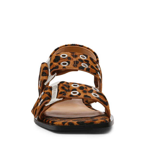 SARIA-LE LEOPARD