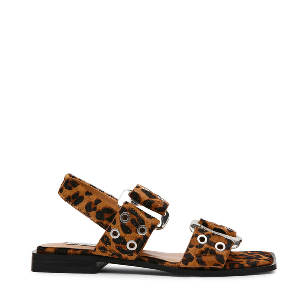 SARIA-LE LEOPARD